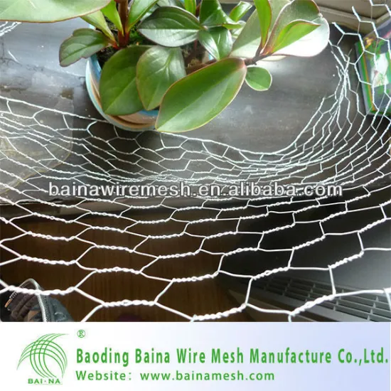 Famous brand Anping Hexagonal Mesh China Manufacturer