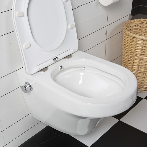 Sanitary Ware Bathroom Toilet