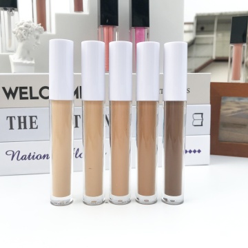 Customizable Liquid Concealer with Logo: 18 Color Options, Waterproof Formula, and Concealer Brush for Private Label