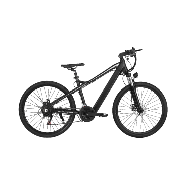 48V/10AH electric bike in EU warehouse