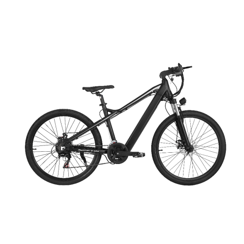 48V/10AH electric bike in EU warehouse