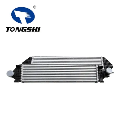 Auto Intercooler Assy for FORE DXCAPE 1.6L 13-15 OEM BV6Z-6K775-B