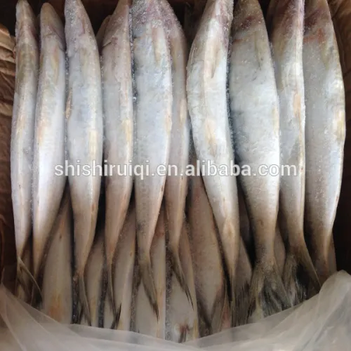 Frozen Sardine Seafood Wholesale Sardines From Sardines Factory, High