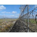 Galvanizado PVC Flat Concertina Razor Wire