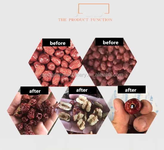 Apricot Peach Haw Jujube Cherry Olive Plum Apple Seed Removing Machine - 48pcs/min