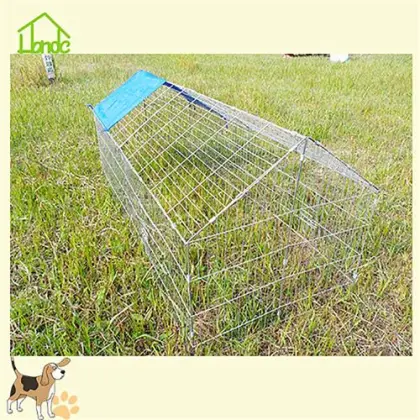 Easiest home built  indoor chicken coop