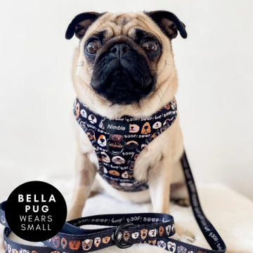 Custom No Pull Neopren Hundekabelbaum mit Silikon -Leine und Kragen