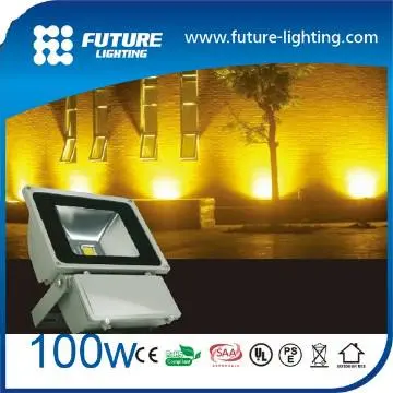 Outdoor wateproof 100w wall lighing explosion proof lamps