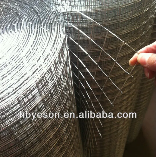 factory direct galvanized welded wire mesh