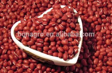 Adzuki bean size 2.8mm-4.5mm