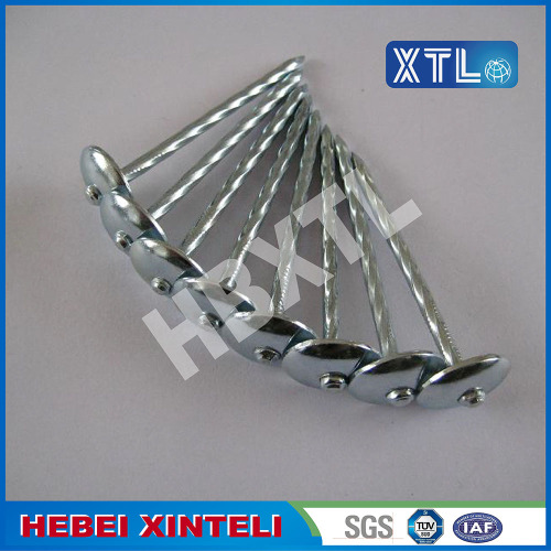 Galvanized Umbrella Roofing Nail With Large Head