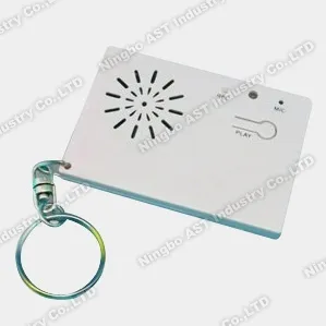 Voice Key Chain Key Ring Musical Key chain