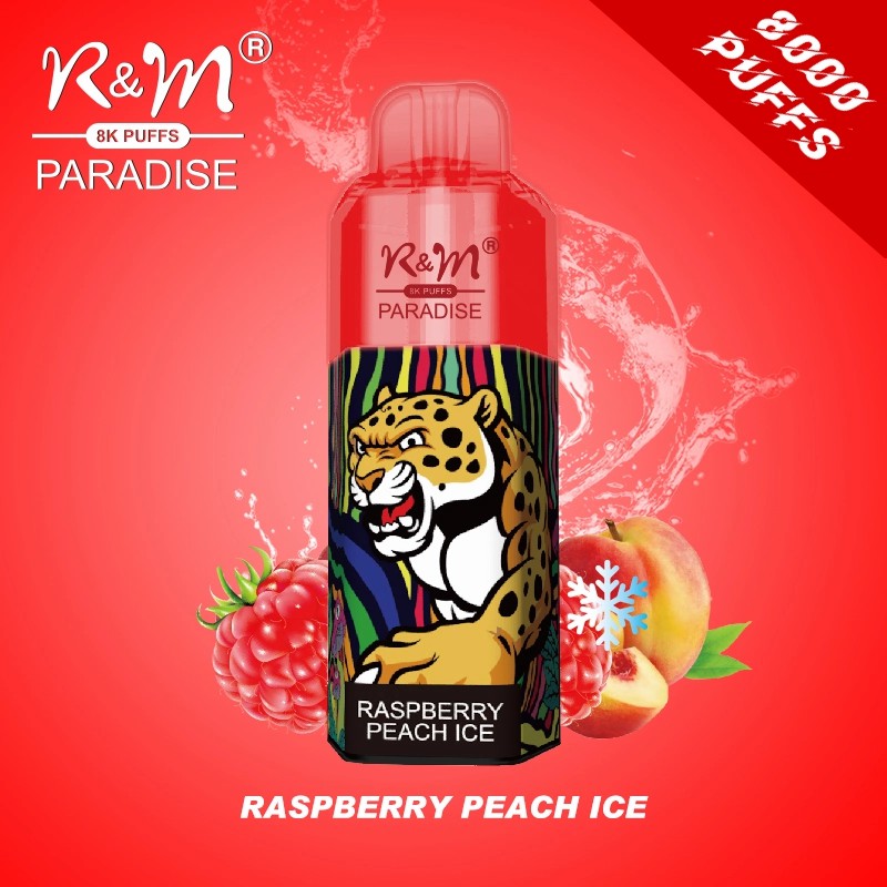 Preço de fábrica R&M Paradise 8K descartável