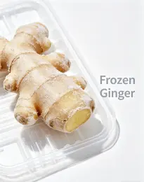Premium Fresh Ginger Root