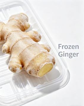 Premium Fresh Ginger Root