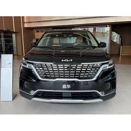 Kia Carnival practical car