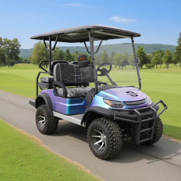 2+2 Seater Golf Cart Electric
