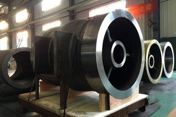 Check Valve 20