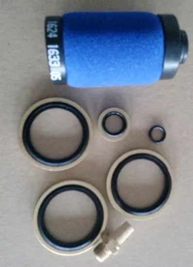 Oil Free Air Compressor Spare Parts 4000 Hours Maintance Kit