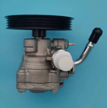 Lotus PW531880 Power Steering Pump