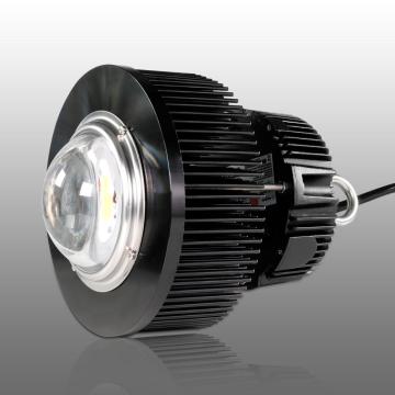 Phlizon 100W Cob LED Light