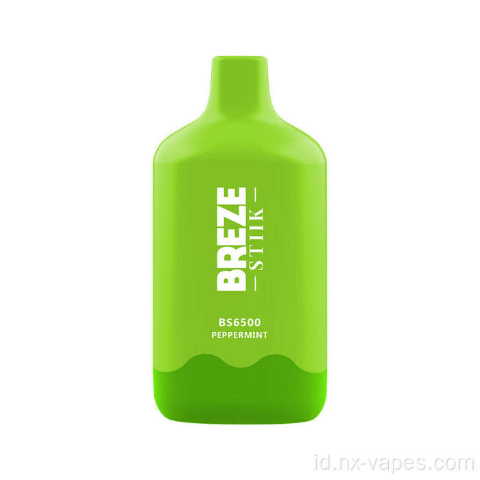 Breze Stiik BS6500 Puff Vape Wholesale