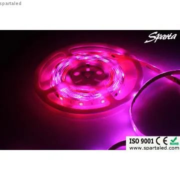 12V SMD5050 60D fexible strip light waterproof