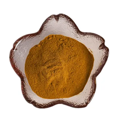 Factory supply high quality Elm extract powder / Elm bark extract powder
