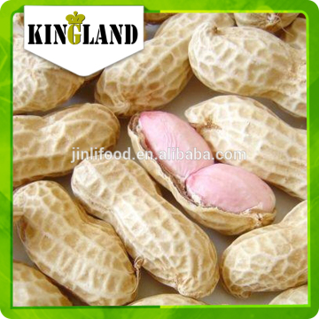 buy raw peanuts in shell