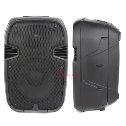 MPE-10 Portable Plastic Active Speaker with Digital Amplifier