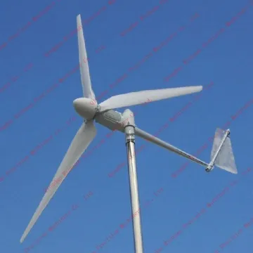1000w horizontal wind power generator (AC , PMG)