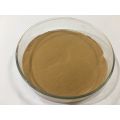 Premium Spray Dried Noni Fruit Powder Natural