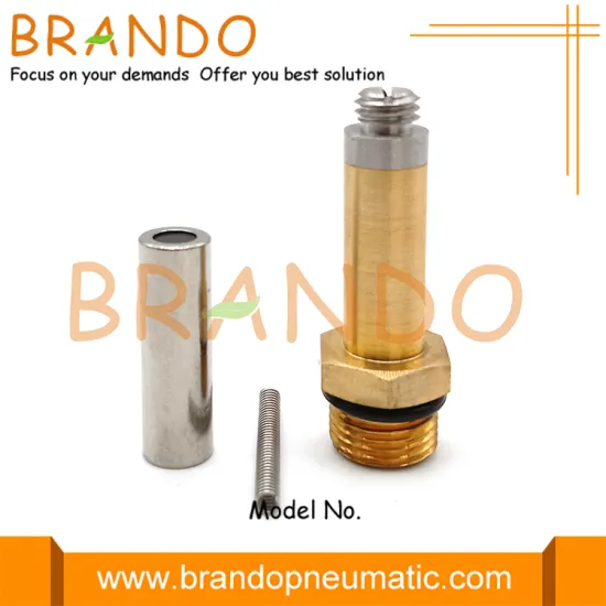 Replacement LPG CNG Gas Valve Armature Assembly Kit