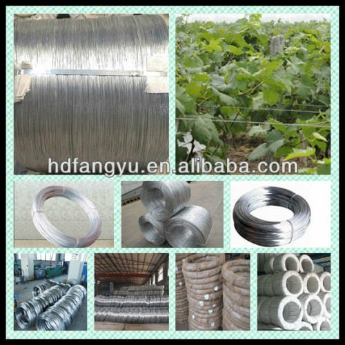 Vineyard wire Hot dipped galvanized wire for Grapes