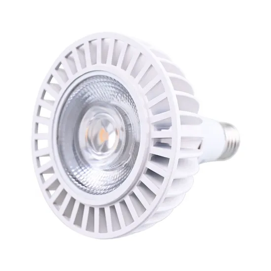 Indoor Commercial High Lumen LED Bulbs 120V/230V 20W-30W PAR20/PAR30/PAR38