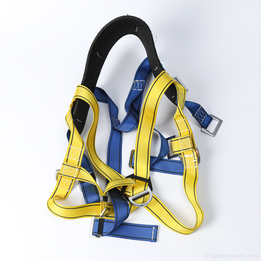 Sécurité Full Body Harness Double Lanyard