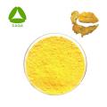 Fibraurea Recisa Extract Powder 10: 1