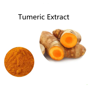 Buy online active ingredients Tumeric Extract powder