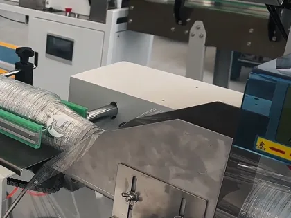 Automatic Pillow Packaging Machine