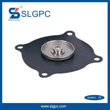 China ningbo ninghai low price seal stamping company 2W series Solenoid Valve Accessories rubber diaphragm