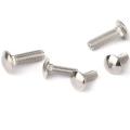 304 DIN603 Carriage Bolt &amp; Porca