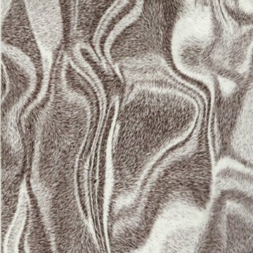 Animal Skin Pattern Water Transfer Printing Hydro Graphics Film-Fox striae pattern Width 100cm GW9101