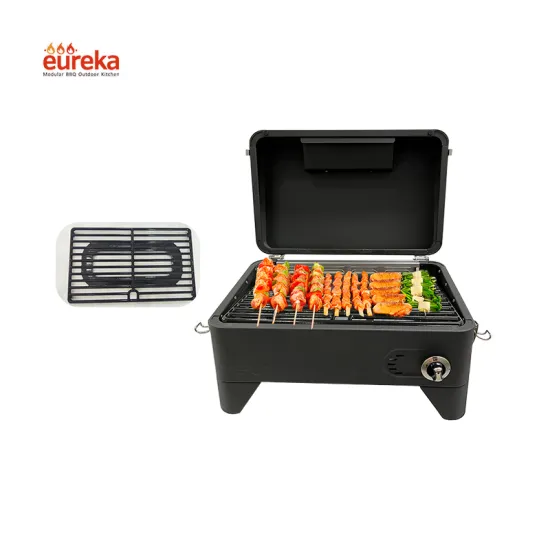 Small stainless steel Propane Tabletop Mountable Foldable BBQ Grill Gas for rv