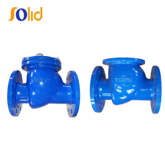 Ductile Iron Flanged End Swing Check Valve