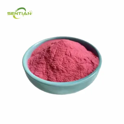 Pure Natural High Quality Cranberry Powder