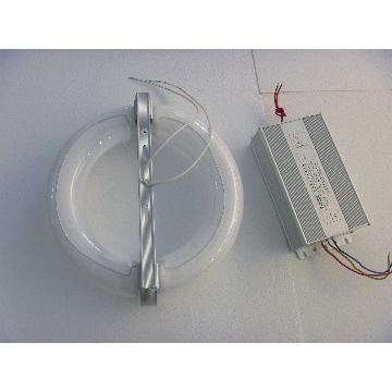 40W~300W e40 induction lamp(Bulb+Ballast) induction bulb