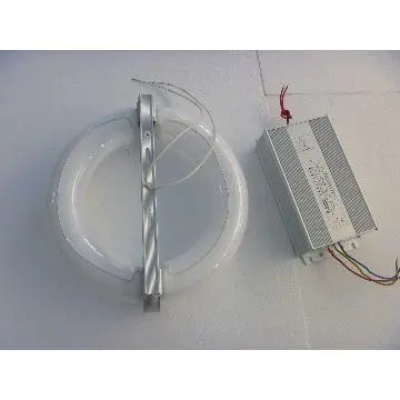 40W~300W e40 induction lamp(Bulb+Ballast) induction bulb