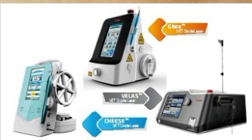 Large Animal Surgical Laser System