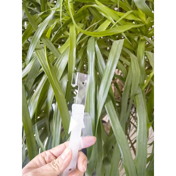 Injection Molding PC Transparent Plastic Parts