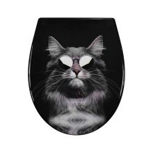 Duroplast Toilet Seat Soft Close Quick Release(cat)